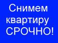 Срочно сниму двух или трёх комнатную квартиру 