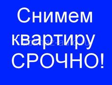 Срочно сниму двух или трёх комнатную квартиру 