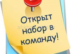 Для тех кто ищет работу 