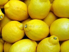 продаю лимоны