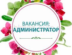 ИЩЕМ АДМИНИСТРАТОРА