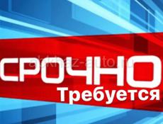 Руководитель отдела стройматериалов