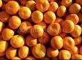 Продаётся мандарин 2 тонны , 30 рублей 