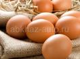 Куплю куриные и утиные яйца для инкубатора 