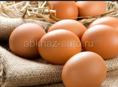 Домашние яйца 