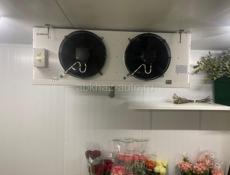 Холодильная  камера для хранения цветов
