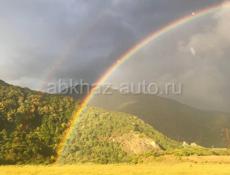 Приму в дар охотничию собаку 