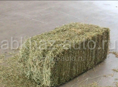 Продаётся сено люцерна одна кубик 600 руб 23 кг