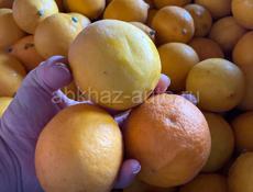Продаются лимоны 