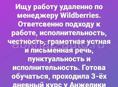 Менеджер Вайлдберриз, без опыта работы. 