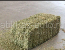 Продаётся сено люцерна 1 кубик 600 руб 23 кг 