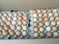Продаются инкубационные яйца 