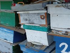 Продаю ящики для пчёл 