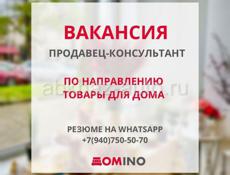 Продавец-консультант 