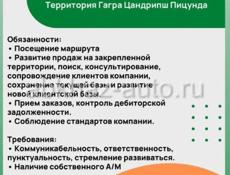 Требуется торговый представитель 