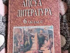 Книга Абхазского языка и Русская Литература