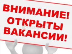 В Мини-Маркет Гурман на Турбазе требуются сотрудники