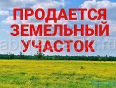 6,6 соток в 100 метрах от моря Сухум 