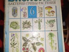 Книги 6 класса 