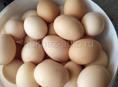 Домашние свежие яйца 70 шт  Центральный рынок 