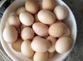 Домашние свежие яйца 70 шт  Центральный рынок Писать или звонить на вотсапп 7752026