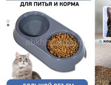 продаю кота 