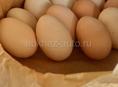 Крупные домашние яйца