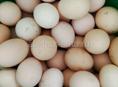 Куплю домашние яйца в любом количестве Центральный рынок писать на вотсапп 7752026