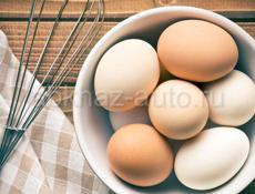 Домашние яйца 
