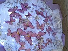 Светящийся букеты из бабочек 