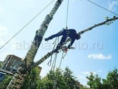 СПИЛ АВАРИЙНЫХ ДЕРЕВЬЕВ