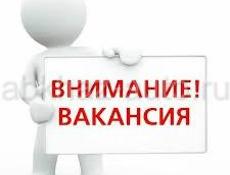 Продавец-консультант 