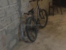 Велик хороши находу 