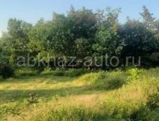 Участок 50 соток первая береговая