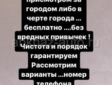 Русская семья ищет дом под присмотром за городом либо в городе ... бесплатно .Муж и жена..без вредных привычек !Чистота и порядок гарантируем Рассмотрим варианты ...номер телефона +79409353091