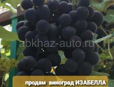 Продам виноград 