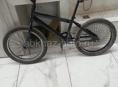 BMX gibrid