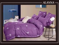 Кпб ALANNA "COMFORTABLE √ Хлопок 💯 % Плотность 140гр 