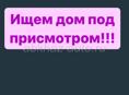 Хорошая, ответственная семья  - ищут дом под просмотр! Нам по 50 лет! Мы муж и жена! Ответственно и бережно отнесемся к вашему дому! Чистоту и Порядок - ГАРАНТИРУЕМ!