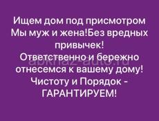 Ищем дом под присмотром 