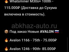 🔥 Avalon и Whatsminer 