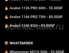 🔥 Avalon и Whatsminer 