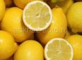 Продам лимон 