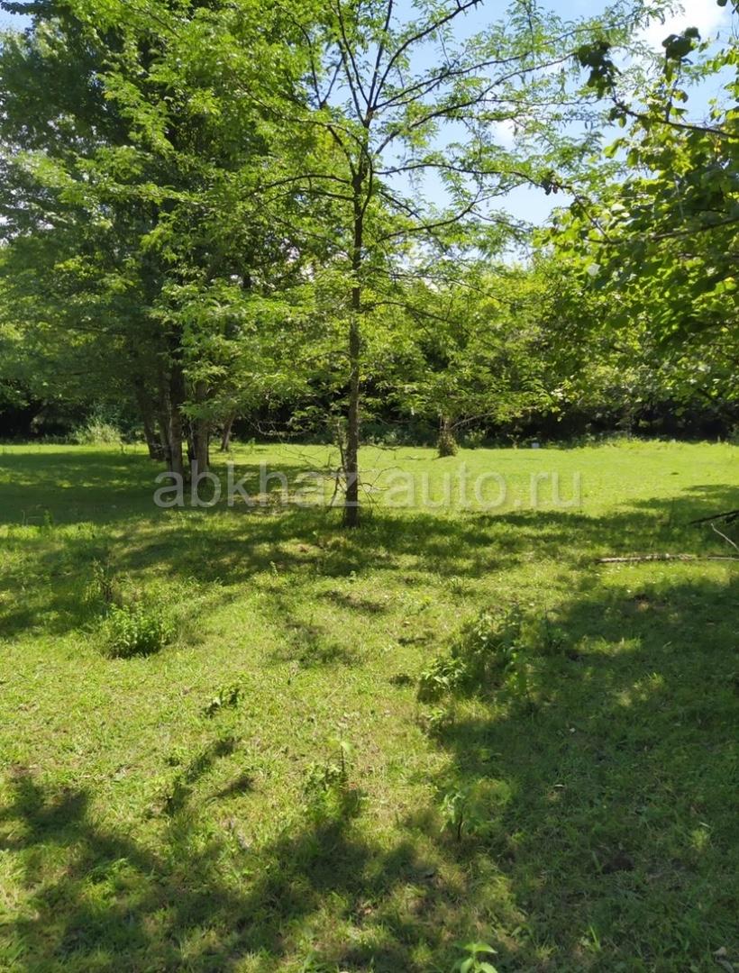 Абхаз Авто. Абхазия. Abkhaz-auto.ru | СРОЧНАЯ ПРОДАЖА