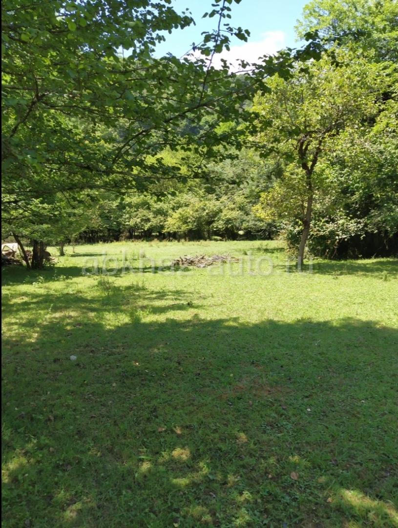 Абхаз Авто. Абхазия. Abkhaz-auto.ru | СРОЧНАЯ ПРОДАЖА