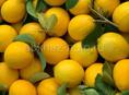 Продам лимоны