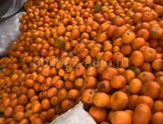 Продам  собранный мандарин 🍊 прекрасный до тонны 