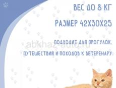 Переноска для котов