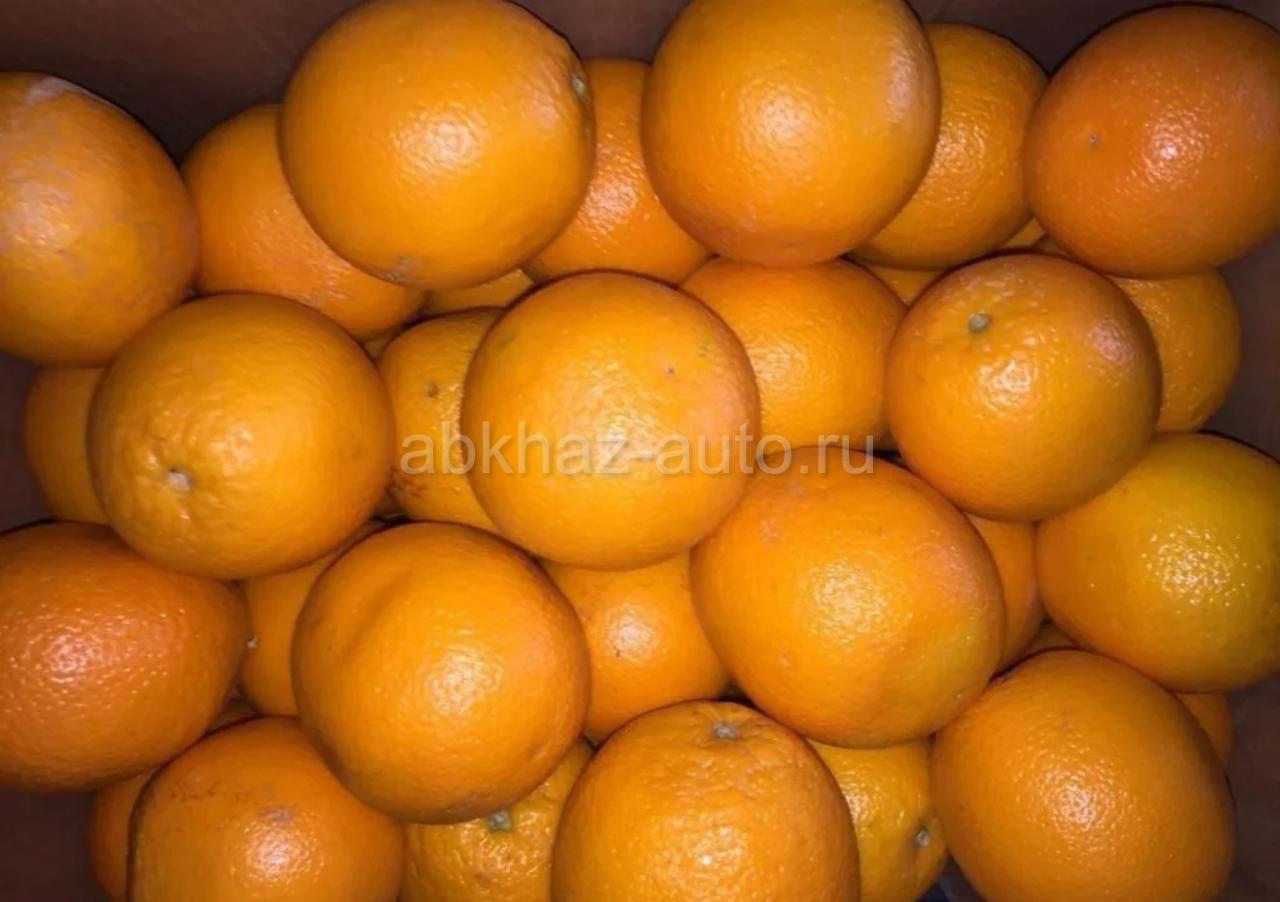 25 мандаринов. Где продаются апельсины. Старинные объявления продажа апельсинов фруктов.