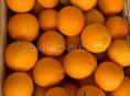 Продаю апельсины 